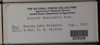 Image Associated With the Occurence
